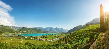 Alto Adige: the Influence of Place, Altitude & Variety