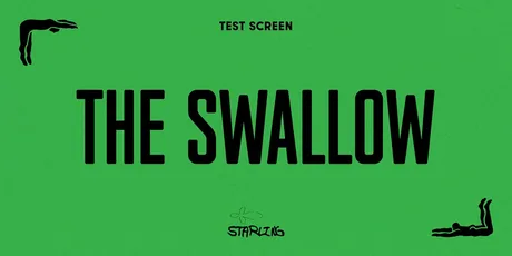 The Swallow
