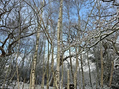 Celebrating Winter Solstice- Free Seasonal Connections Workshop