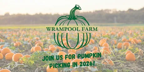 Wrampool Farm - Pick your own Pumpkin 2026!