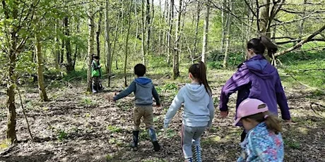 Summer Holiday Forest School Activities 2026
