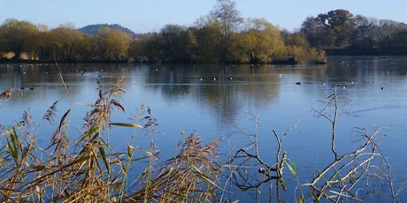 Blashford Lakes Wildlife Tots