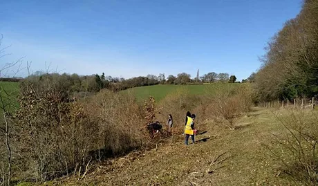 Wardrobes Scrub Bash & Cowslip Plant with Butterfly Conservation
