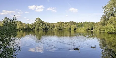 Wellesley Woodlands Health Walk - Chalk Farm Lake