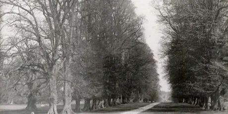 Cassiobury Park, Watford - Heritage Walk in Sept