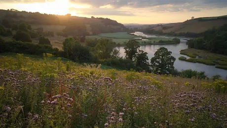 Grants for nature recovery | Rewilding updates from Sharpham