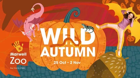 Wild Autumn at Marwell Zoo