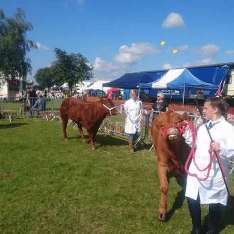 Orsett Show