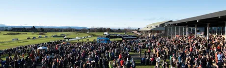 Autumn Afternoon Racing - Hereford Racecourse