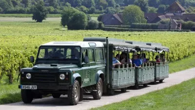 🍾 Vineyard Train Tour
