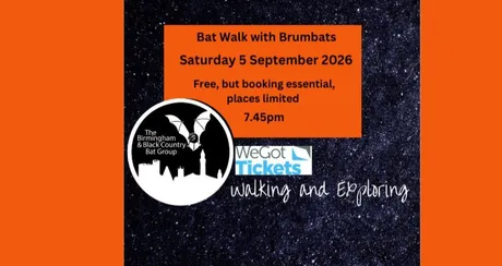 Bat Walk with BrumBats at Highbury Park