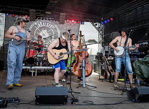 Steve 'N' Seagulls