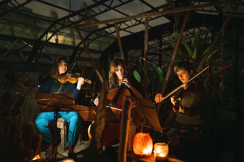 J.A.M. String Collective + James Gow