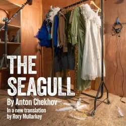The Seagull