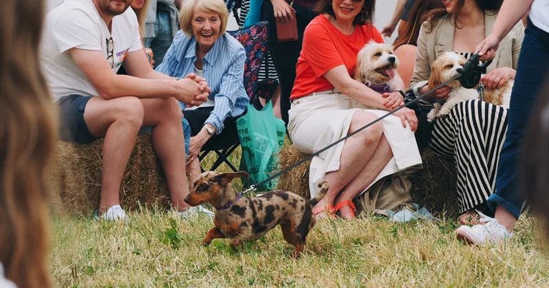 Dog Show at Flourish at Farleigh Road