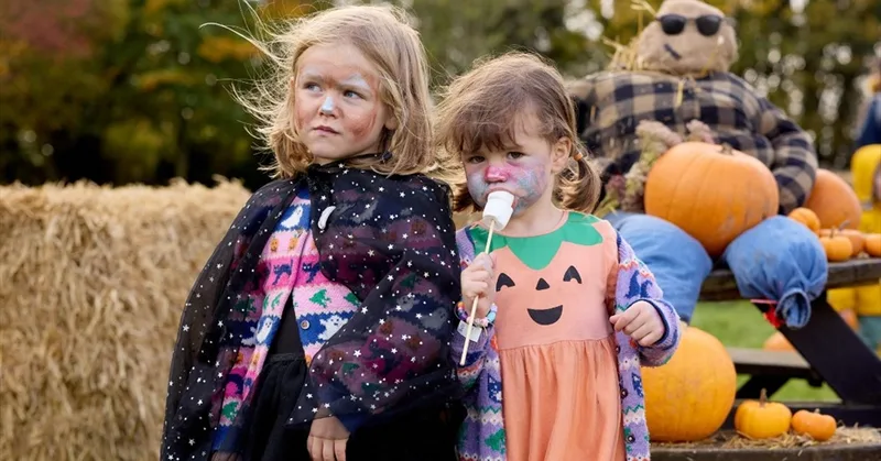 Harvest Festival at Hartley Farm