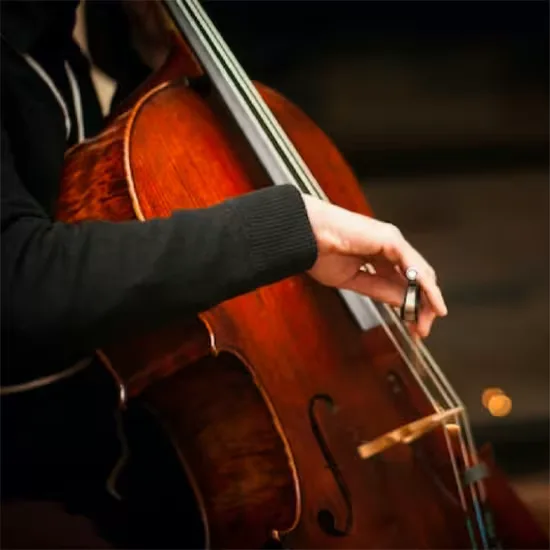Bach Cello Suites by Candlelight at St Paul's Covent Garden
