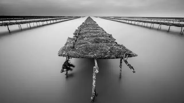 RPS SE click event: Whitstable Oyster Beds & Harbour, (2nd attempt)