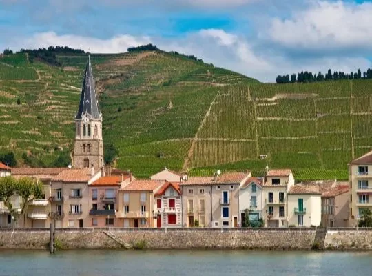 Ramble down the Rhône with Linda Field