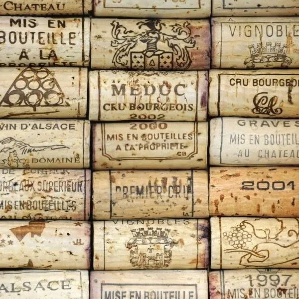 Introduction to Wine Tasting
