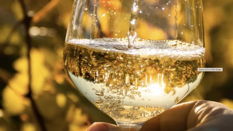 Too Cool For School: Modern Wines to Rival The Classics