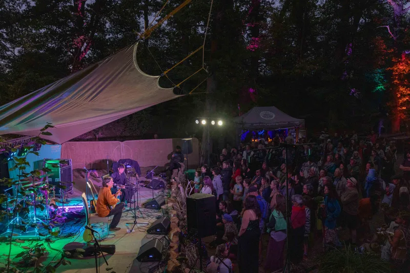 Into The Wild Festival