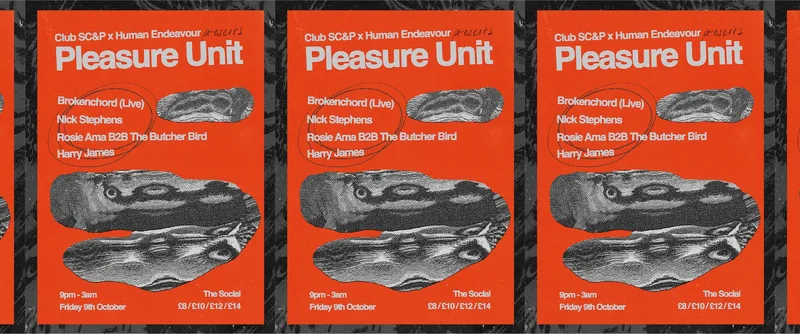 Pleasure Unit: Brokenchord (Live) + Rosie Ama + The Butcher Bird + Nick Stephens + Harry James