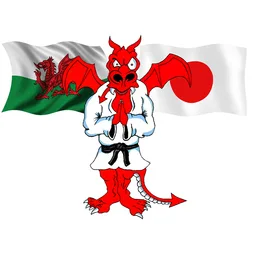 WELSH KARATE LEAGUE 2026 WKL4