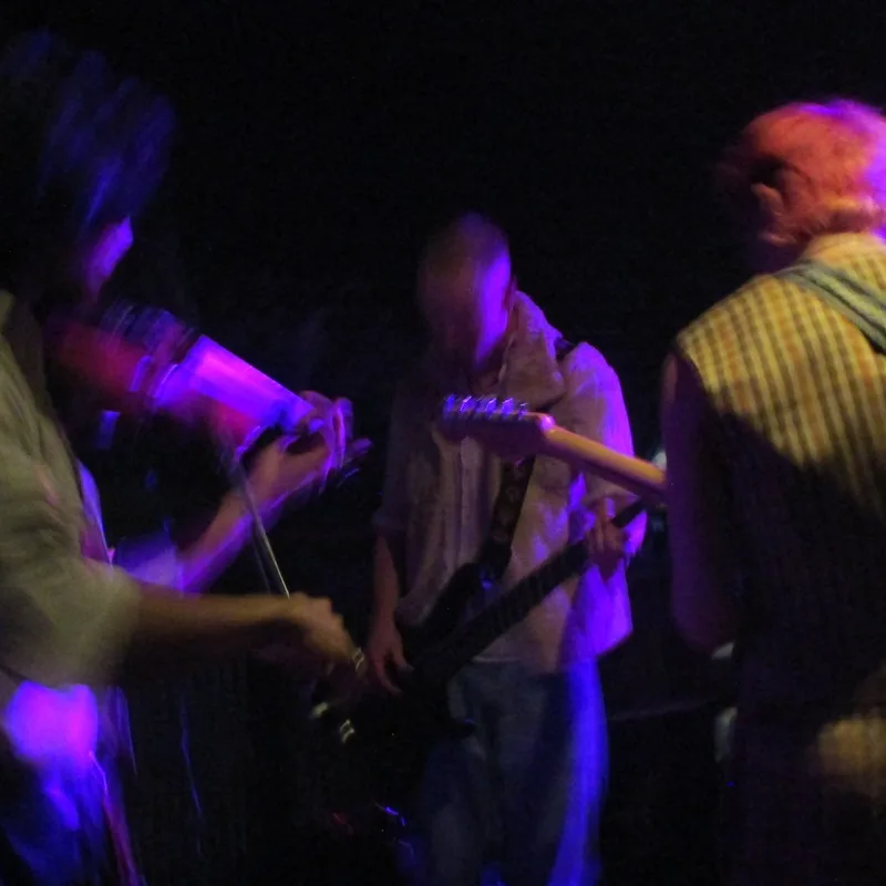 Vanity Children / English Dead / Minor Disasters / Sheepscar