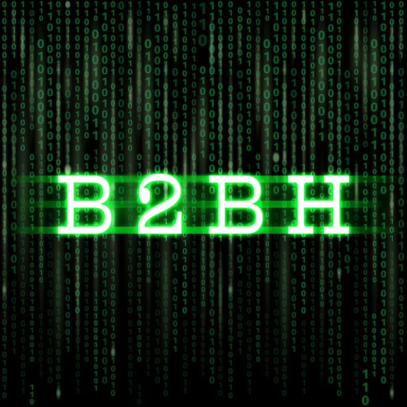 B2BHitterz