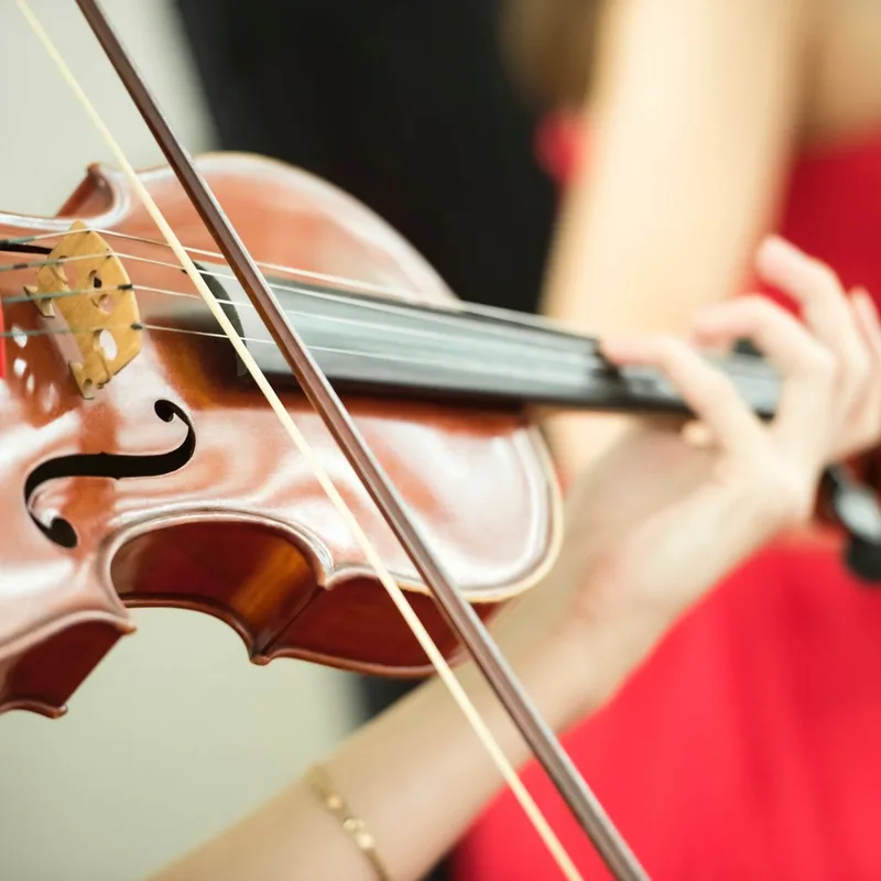 Vivaldi Four Seasons by Candlelight (8pm)