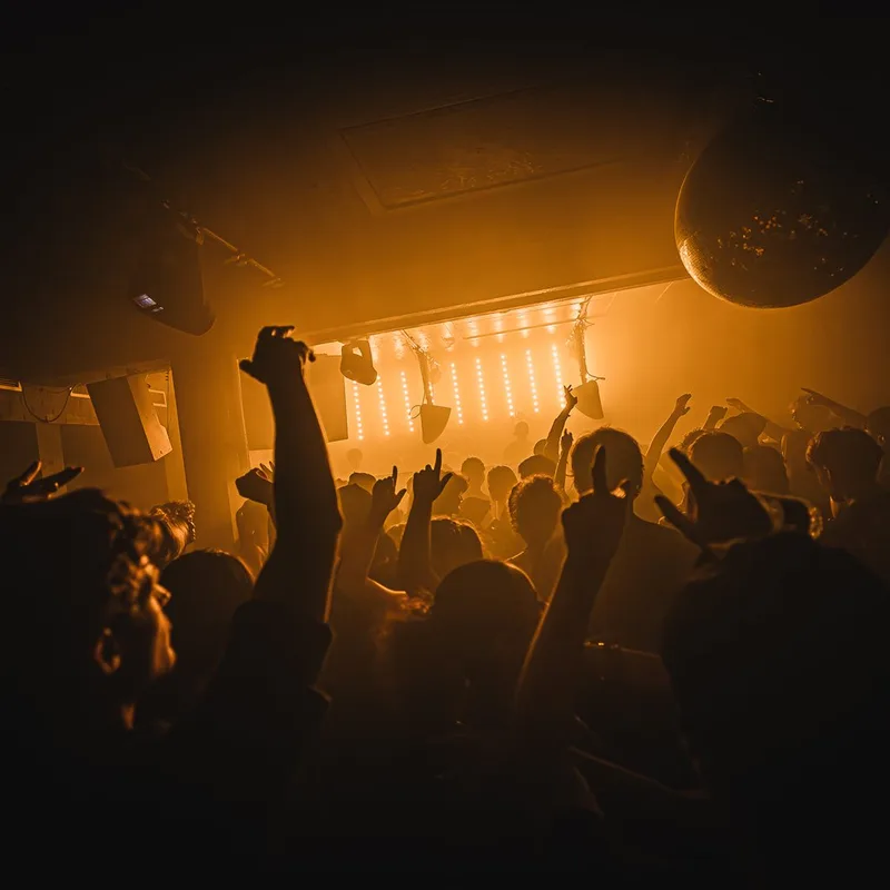 Insomnia London: House, Techno, Jungle