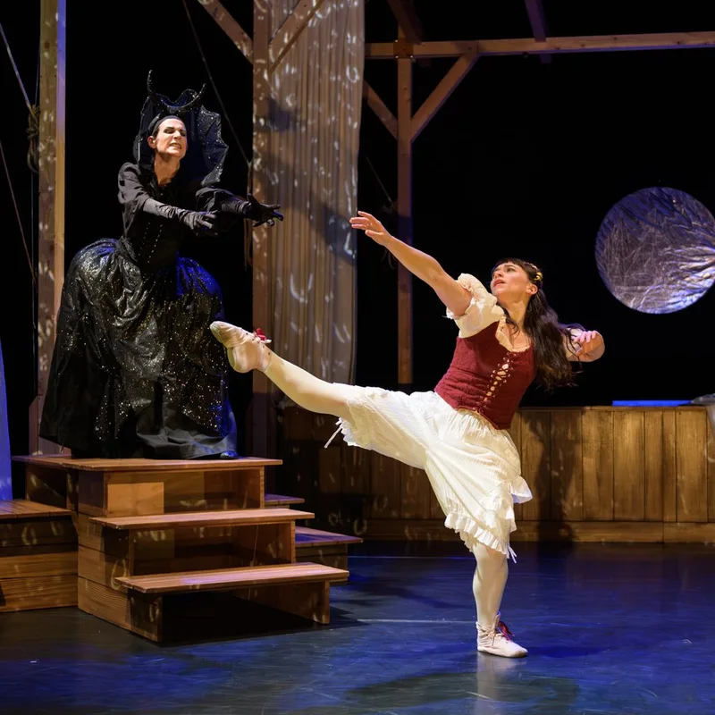 Luca Silvestrini's The Magic Flute