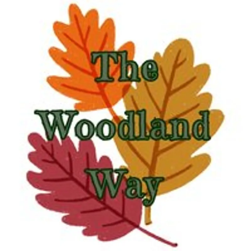 The Woodland Way: Forest Playgroup