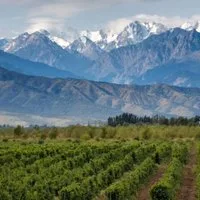 World of Wine: Discover South America!