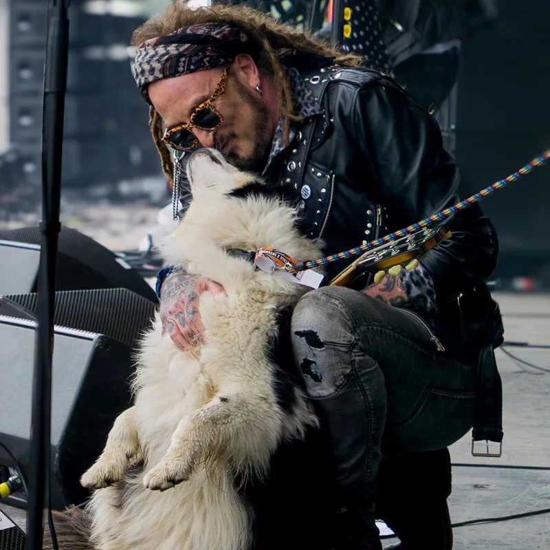 The Wildhearts