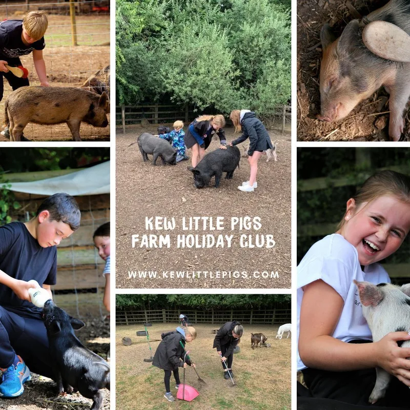 Kew Little Pigs Farm Halloween Holiday Club