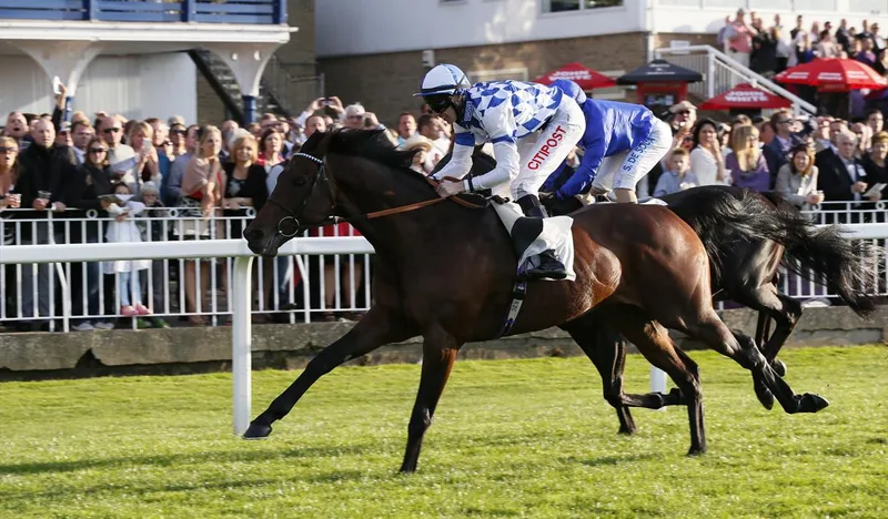 Party in the Paddock Racenight at Royal Windsor Racecourse