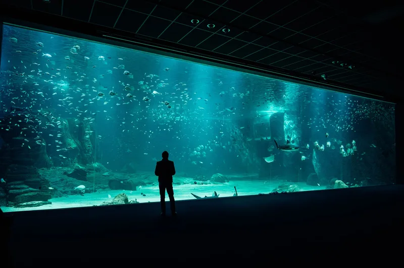 Sea Life Manchester - Standard Entry