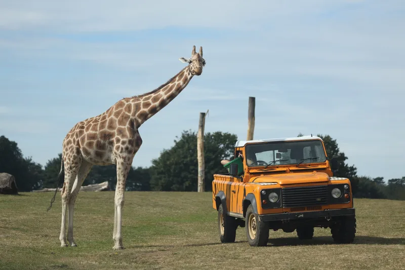 Christmas at the Farm - Hogshaw Farm & Wildlife Park