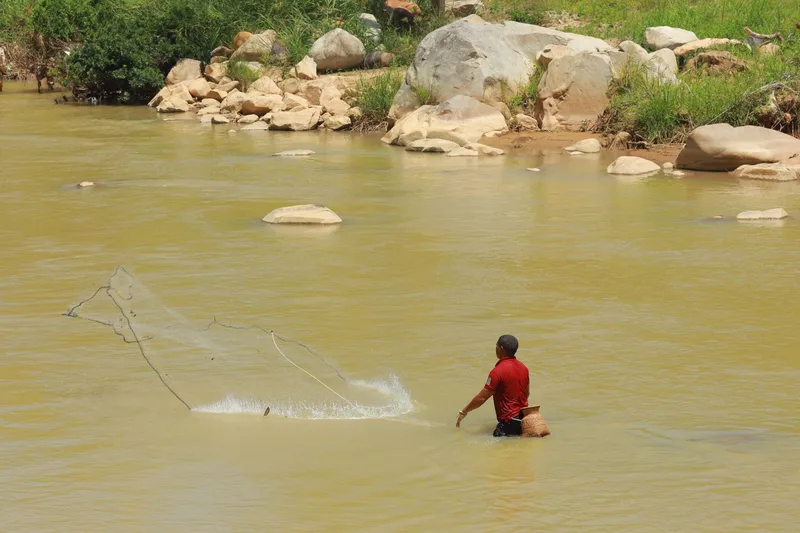 Free Junior Fishing Coaching | Highbridge Angling Association Juniors