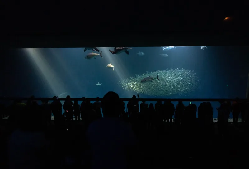 Sea Life London - Standard Entry