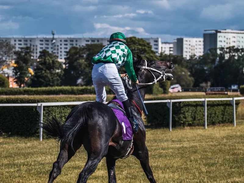 Autumn Floodlit Racing - Wolverhampton Racecourse
