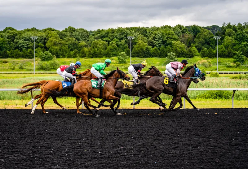 QIPCO British Champions Day - Ascot Racecourse