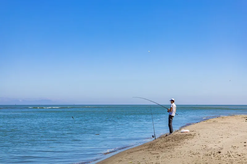 Free Junior Fishing Coaching | Highbridge Angling Association Juniors