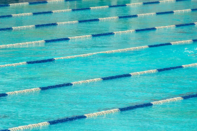 Summer Open Water Swim: Dock 9 (8/8)