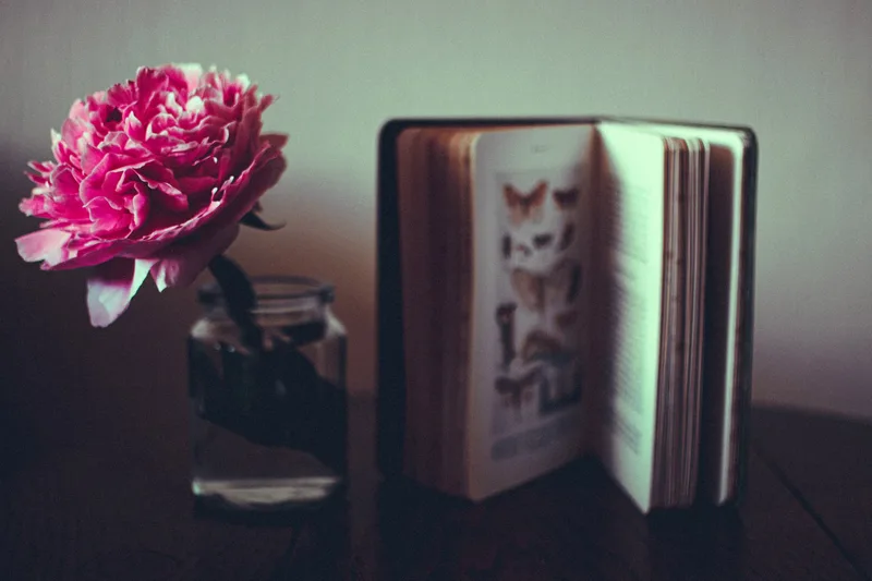 ACOTAR #7: Midnight Collection - Newcastle