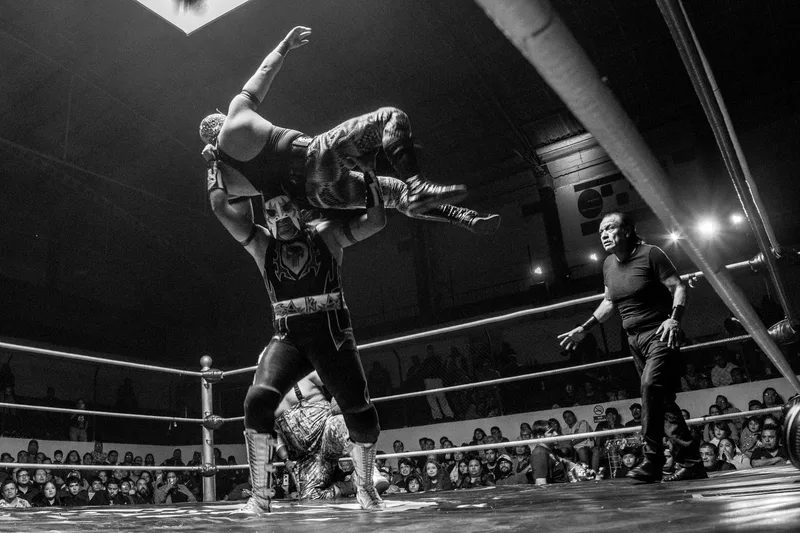 Gladiators Live