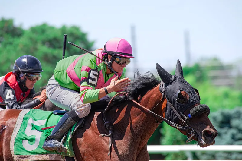 Ladies Day 2027 - Uttoxeter Racecourse