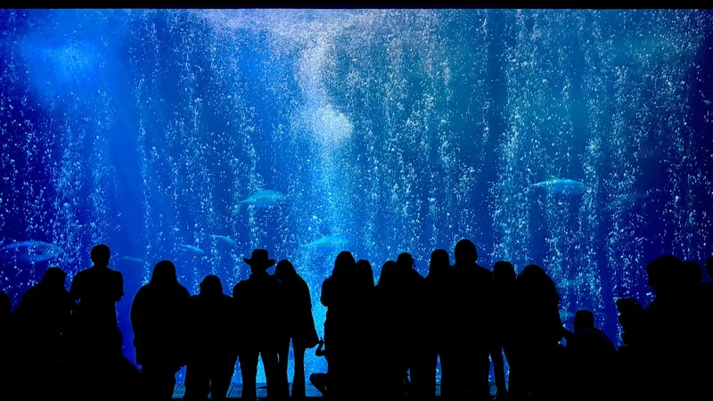 Sea Life Brighton - Standard Admission